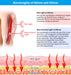 1.8m Red Light Therapy Blanket – 270W, 2560 LEDs, Near-Infrared 660nm + 850nm, Full-Body Wrap
